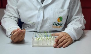(DIVULGAÇÃO / SEAPI)