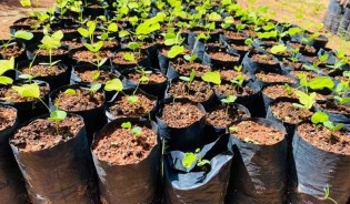 (DIVULGAÇÃO / PROJETO VALE SUSTENTÁVEL)