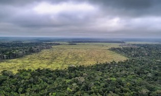 (REPRODUÇÃO / PF)