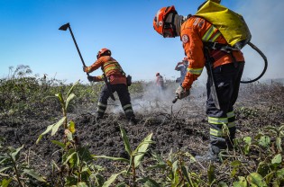 (MICHEL ALVIN / SECOM-MT)