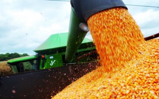 (DIVULGAÇÃO / AGROPRECISION)