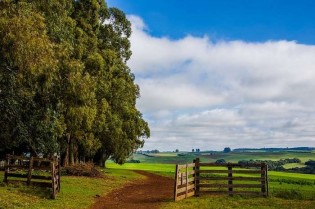 CNA mostra ações de defesa do agro no mercado internacional