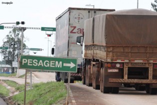 (REPRODUÇÃO)