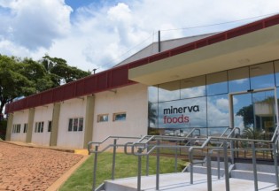 (REPRODUÇÃO)