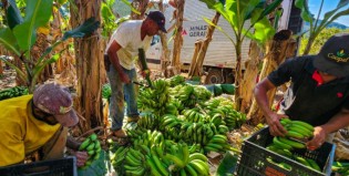 (DIEGO VARGAS / SEAPA)