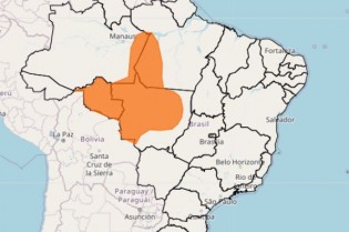 (REPRODUÇÃO)