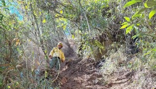 Exército brasileiro é multado por incêndio florestal