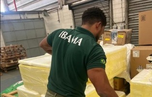 Operação do IBAMA intercepta carga ilegal de pescado em São Paulo