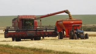 Justiça Federal autoriza a produção de fertilizantes no Rio Grande do Sul