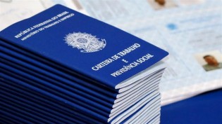 Desemprego no Brasil cai para 6,4%, mas agropecuária registra queda no número de trabalhadores, aponta IBGE