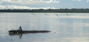Governo Federal irá pagar auxílio para pescadores da Região Norte