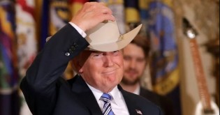 Qual o tamanho do mercado agro de Brasil e EUA e o peso de Trump na presidência