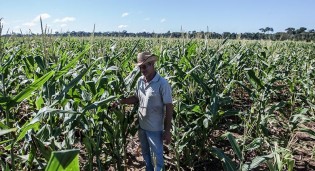 Respaldo legal ao Pronaf está na pauta da Comissão de Agricultura