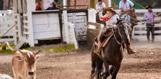 Vacaria recebe o título de Capital Nacional dos Rodeios Crioulos  Fonte: Agência Senado