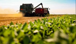País Verá Desaceleração nos Preços dos Alimentos e Alta do PIB Agro em 2025, diz CNA