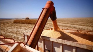 Farsul Evita Previsões sobre Atual Safra Gaúcha por Cautela com Clima após Desastres