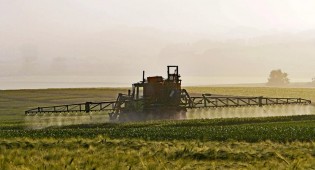 Possível Alta no Preço dos Alimentos Gera Debate no STF