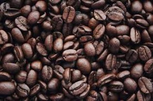 Tarifas dos EUA Criam Incertezas no Mercado Cafeeiro Brasileiro, Mas Abertura para Robustas Pode Ser Oportunidade
