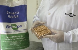 Foto: Embrapa