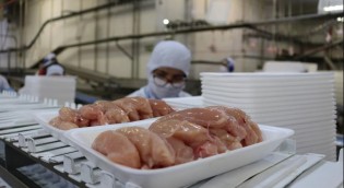 Exportações de frango são suspensas para 24 destinos após caso de gripe aviária no RS