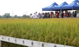 Heinze cobra governo por solução urgente para dívidas dos agricultores gaúchos