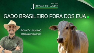 Fora da rota comercial norte-americana, carne brasileira encontra novos mercados, veja o vídeo