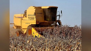 Recuperação judicial no agro cai 20,7%; Mato Grosso segue com mais pedidos