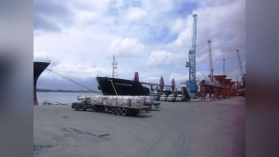 Soja fecha a semana em alta em Paranaguá, a R$ 152,41 a saca