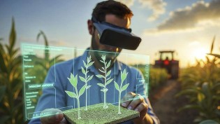 Investimento em agtechs cai 79% no semestre e soma R$ 94,7 milhões, aponta Itaú BBA