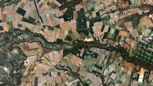 Mato Grosso acelera e o Paraná atrasa: o retrato do plantio da soja 2026/27