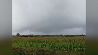 Chuva segue nas lavouras até sexta (30), com aviso de tempestade em GO, MT, MS e SP