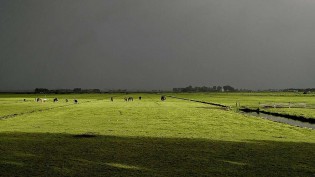Novembro pode ter chuva 150 mm acima da média no RS, e Inmet vê risco à soja no Nordeste