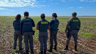 Milho transgênico em 645 hectares perto do Parque Nacional das Emas rende 3 autos do Ibama