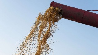 Esmagamento de soja em MT bate recorde de 10,42 milhões de toneladas até setembro