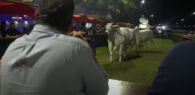 (CRÉDITO: REPRODUÇÃO)