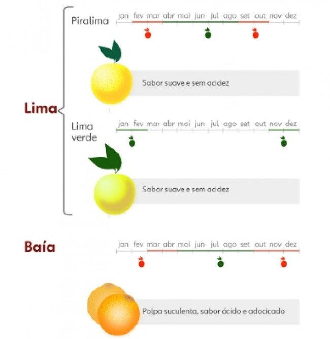 (CRÉDITO: REPRODUÇÃO/CITRICOLA LUCATO)