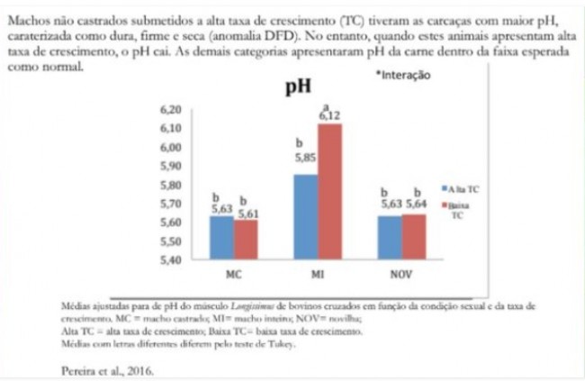 (CRÉDITO: REPRODUÇÃO)