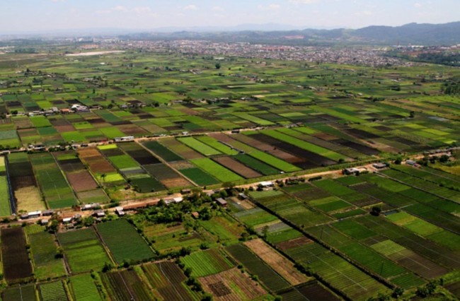 (CRÉDITO: SINDICATO RURAL DE MOGI DAS CRUZES)