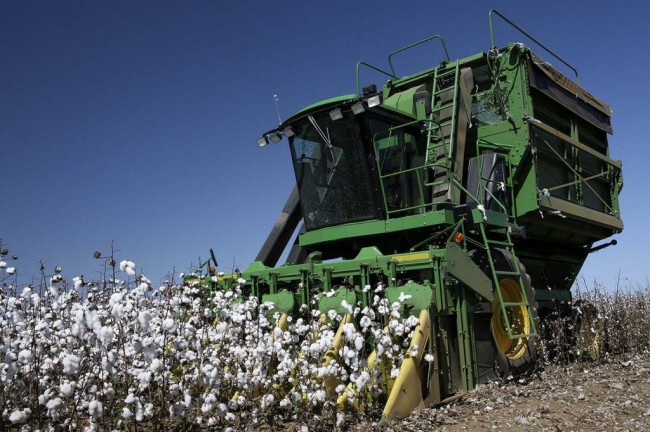 (CRÉDITO: DIVULGAÇÃO / AGRO INSGHT)