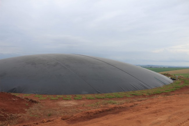 (DIVULGAÇÃO / AEN-PR)