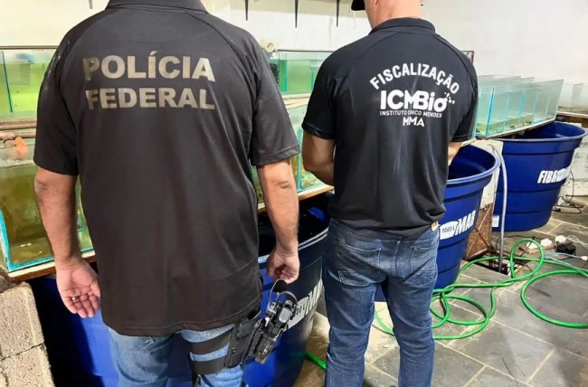 (DIVULGAÇÃO / POLÍCIA FEDERAL)