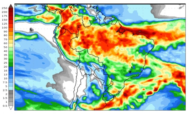 Figura 2: Previsão de chuva para 2ª semana (16 e 24/04/2024). Fonte: NCEP/NOAA.