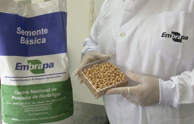Foto: Embrapa