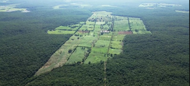 México põe à venda uma das maiores fazendas leiteiras tropicais do mundo
