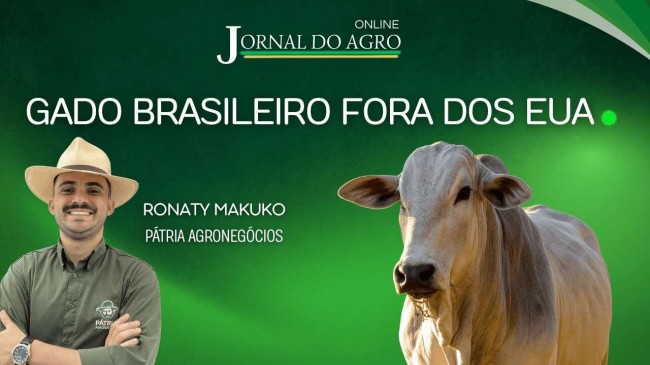 Imagem em destaque