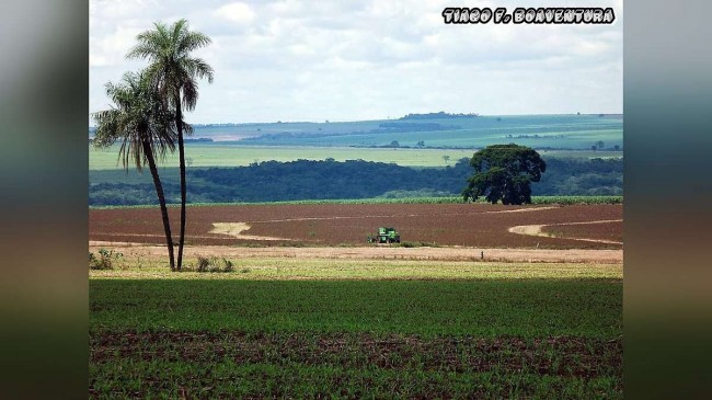 Imagem em destaque